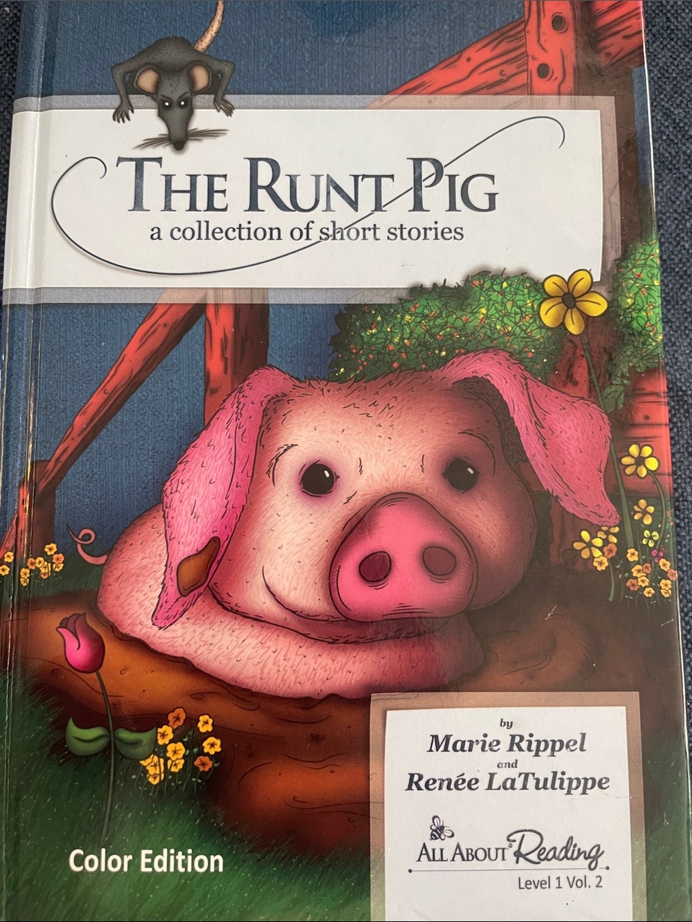 All About Reading Level 1 reader The Runt Pig